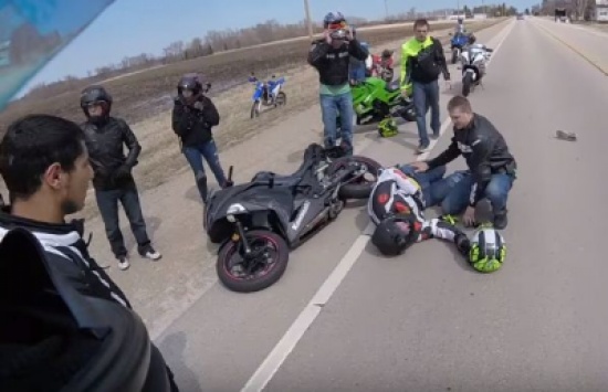 شاهد..  كلب شارد كاد أن يتسبب بحادث سير مروع