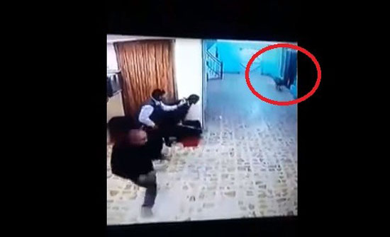 شاهد بالفيديو "ضبع" يقتحم مستشفى