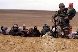 حرس الحدود تستقبل 51 لاجئا سوريا حرس الحدود تستقبل 51 لاجئا سوريا