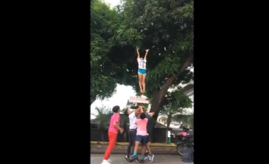 بالفيديو: فريق استعراضي يقتطف ثمار المانجو بطريقة مذهلة