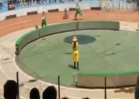 سباق دراجات بين قرد ودب