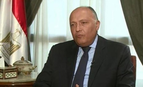 شكري لوزير خارجية إثيوبيا: سد النهضة قد يضر مصر