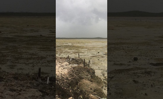 فيديو صادم| ظاهرة غريبة .. اختفاء مياه المحيط في جزر “البهاما” بسبب إعصار “إرما”!!