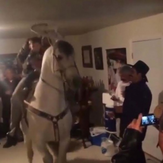 مكسيكي يدخل إلى حفل منزلي على ظهر حصان