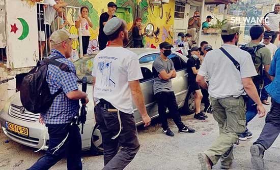 مستوطنون يقتحمون حي "بطن الهوى" في القدس .. بالفيديو مستوطنون يقتحمون حي "بطن الهوى" في القدس .. بالفيديو