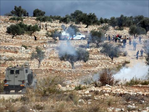 المتضامنون الأجانب : زخم لفلسطين ودعم لشرعيتها المتضامنون الأجانب : زخم لفلسطين ودعم لشرعيتها