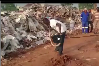 شاهد.. ساحر يمسك ثعبانا ويجعله ينام