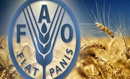 اصدار دليل إدارة الغابات في بيئات المهجرين اصدار دليل إدارة الغابات في بيئات المهجرين