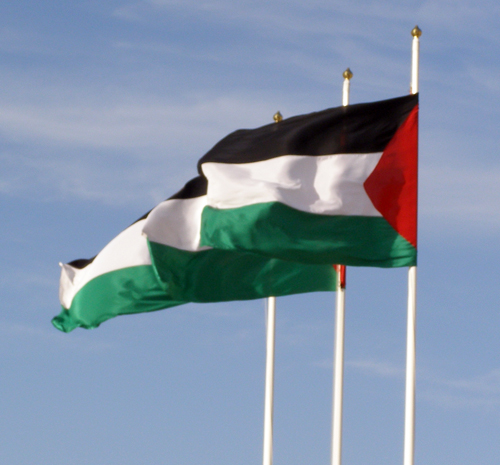 السويد :اعترافنا بدولة فلسطين لم يكن من قبيل المفاجأة السويد :اعترافنا بدولة فلسطين لم يكن من قبيل المفاجأة