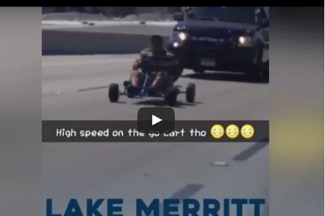 شاهد.. مطاردة الأغرب من نوعها على طريق سريع بالولايات المتحدة