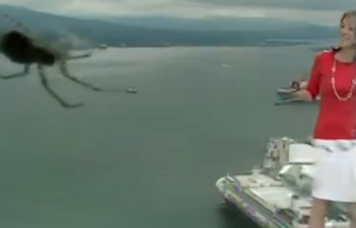 عنكبوت عملاق يخيف مذيعة أثناء تقديمها للنشرة