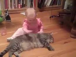 قطة تقوم بتنظيف طفل صغير‬