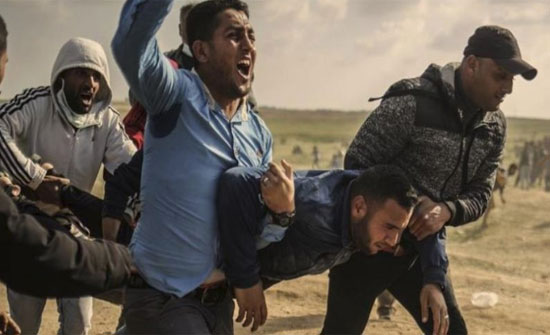 الأردن يحمل "إسرائيل" مسؤولية التصعيد ضد غزة الأردن يحمل "إسرائيل" مسؤولية التصعيد ضد غزة