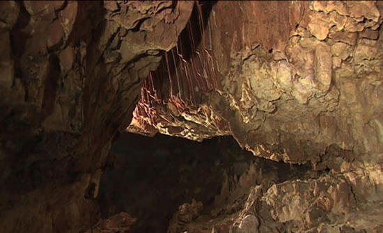 تجهيز البنية التحتية لإيصال الكهرباء لمغارة برقش تجهيز البنية التحتية لإيصال الكهرباء لمغارة برقش