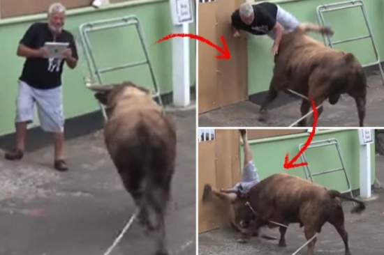 شاهد.. لحظات مرعبة: ثور هائج ؟يهاجم أحد الأشخاص