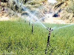 زيادة ساعات الري لمزروعات الاغوار