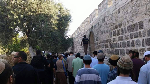 بالصور : قوات الاحتلال تقتحم الاقصى وتعتدي على المرابطين