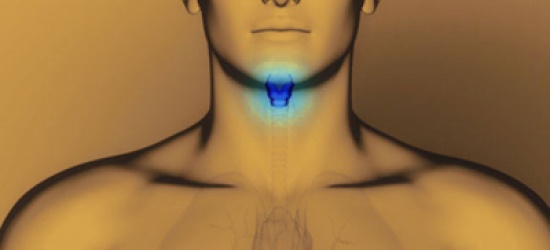 10 علاجات طبيعية للغدة الدرقية