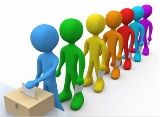 ناخبو الكرك يثمنون اجراءات الاقتراع في الانتخابات النيابية