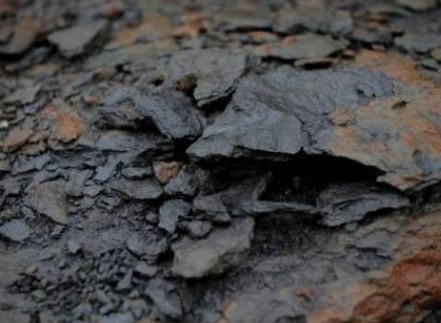 رئيس الوزراء يؤكد التزام الحكومة بتقديم التسهيلات لمشروع الصخر الزيتي