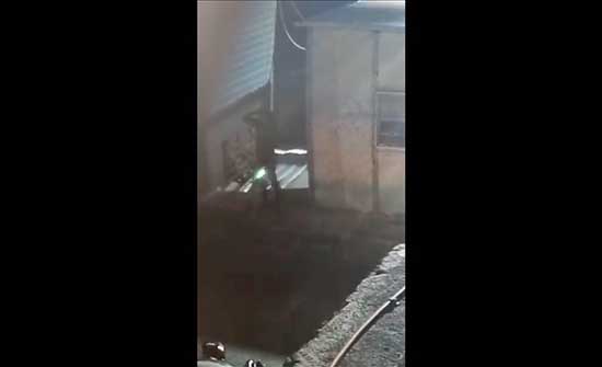 كلب إسرائيلي ينهش فلسطينيا خلال اعتقاله وسط الضفة الغربية .. بالفيديو كلب إسرائيلي ينهش فلسطينيا خلال اعتقاله وسط الضفة الغربية .. بالفيديو