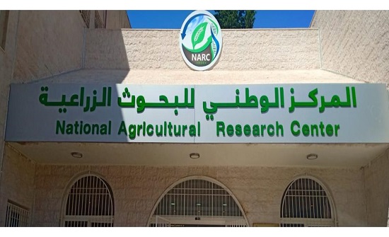 تقليل كمية الري يحسن نوعية ثمار تمر المجهول ويقلل نسبة تقشره تقليل كمية الري يحسن نوعية ثمار تمر المجهول ويقلل نسبة تقشره