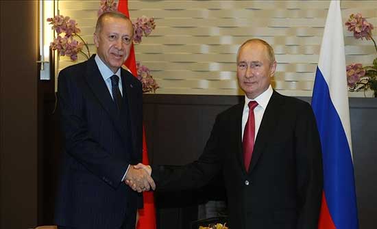 أردوغان يؤكد لبوتين أهمية تغليب الدبلوماسية مع أوكرانيا أردوغان يؤكد لبوتين أهمية تغليب الدبلوماسية مع أوكرانيا