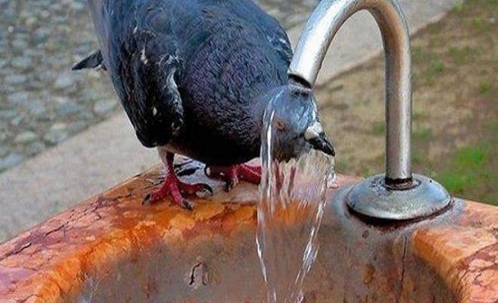 نهاية الأسبوع... أجواء معتدلة نهارًا ومناسبة للرحلات نهاية الأسبوع... أجواء معتدلة نهارًا ومناسبة للرحلات