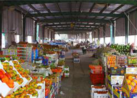 765 الف طن صادرات الخضار والفواكه في الشهور العشرة الماضية