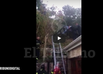 القبض على لص منحوس اخترق جسده قضيبا معدنيا