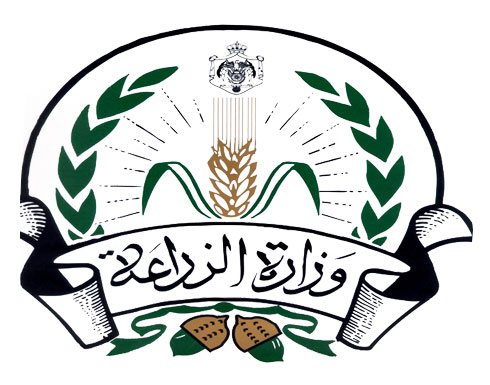 تمديد العمل للجان استلام الحبوب من المزارعين لمدة أسبوعين تمديد العمل للجان استلام الحبوب من المزارعين لمدة أسبوعين