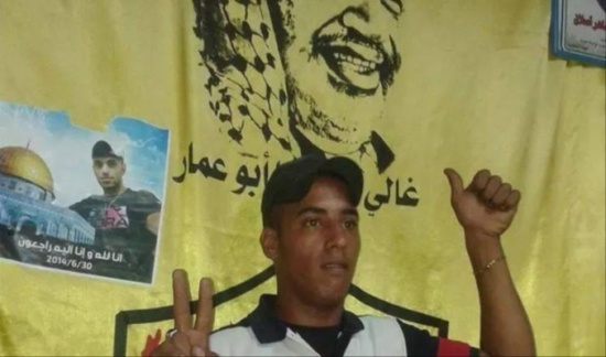 سليمان شاهين.. ملك الفراولة شهيد الدعس سليمان شاهين.. ملك الفراولة شهيد الدعس