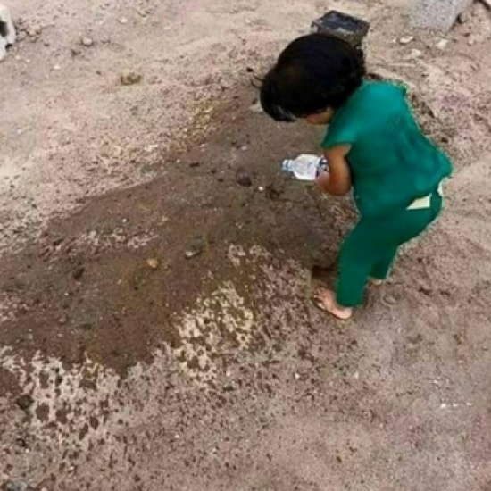 صورة مؤثرة لطفلة ترش الماء على قبر والدها صورة مؤثرة لطفلة ترش الماء على قبر والدها