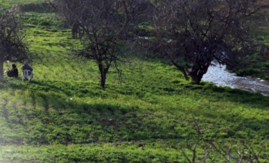 السبت : طقس ربيعي مائل للحرارة