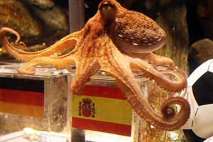 وفاة الأخطبوط بول تنهي أسطورة "عراف المونديال"