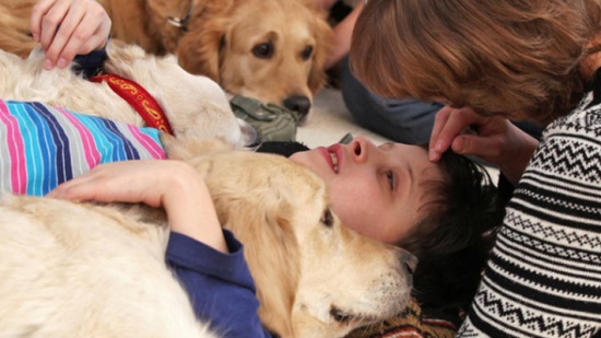 5 حيوانات تساعد في علاج المرضى