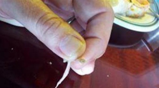 صاحب مطعم يأكل دودة ليتجنب دفع غرامة صاحب مطعم يأكل دودة ليتجنب دفع غرامة