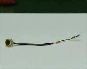 حملة البرادعي تتهم الأمن بالتنصت