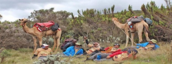 رحالة إماراتي يصل أعلى جبل في إفريقيا على جملين