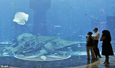 لمن يرغب في المبيت تحت الماء ...