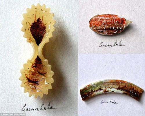 رسومات على أجنحة الأجسام الصغيرة ( فيديو وصور )