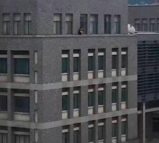 صور| لماذا أثارت هذه الصورة ضجة كبيرة عبر الانترنت؟!