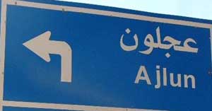 تنمية عجلون تنفذ حملة مكثفة لمكافحة التسول