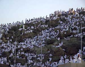 الحجاج يواصلون أداء مناسكهم 