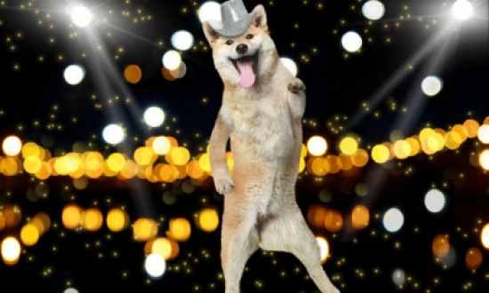 كلب يستعرض مهاراته بالرقص البوليوودي