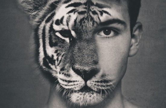 8 وقائع حقيقية لبشر تحولوا لوحوش مخيفة.. منهم عرب (فيديو)