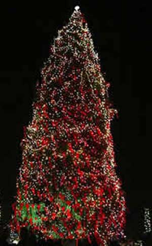 احباط محاولة لتفجير سيارة خلال احتفال باضاءة شجرة عيد الميلاد في الولايات المتحدة