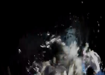 فقمة صغيرة تقفز على قارب أحد الغواصين وترفض النزول عنه