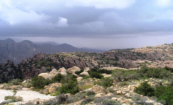 إقامة متنزه للعائلات بقيمة 100 الف دينار في ضانا إقامة متنزه للعائلات بقيمة 100 الف دينار في ضانا