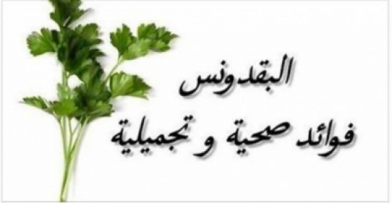 البقدونس هذا النبات العجيب ذو الفائدة الرهيبة للجسم والصحة